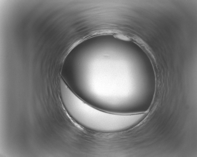 X0000061111385200511180923