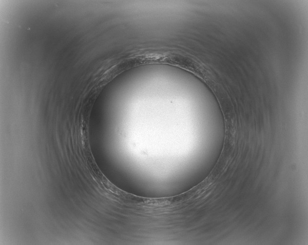 X0000061111394200511180922