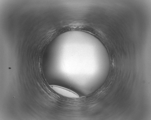 X0000061111396200511180922