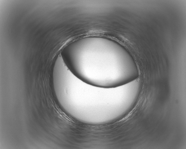 X0000061111401200511180922