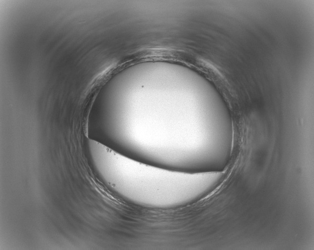 X0000061111403200511180922