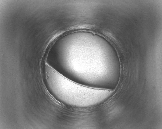 X0000061111404200511180922