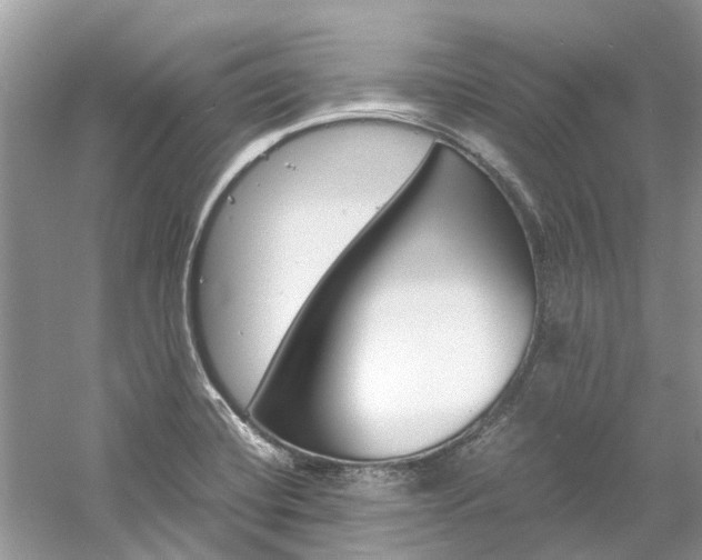X0000061111420200511180922