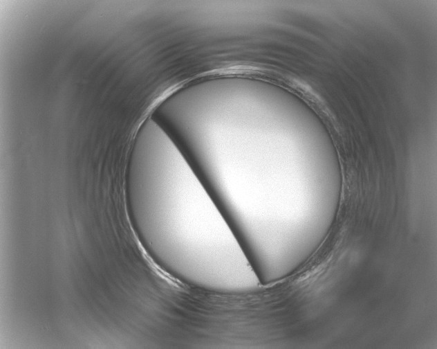 X0000061111425200511180922