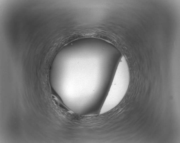 X0000061111441200511180922