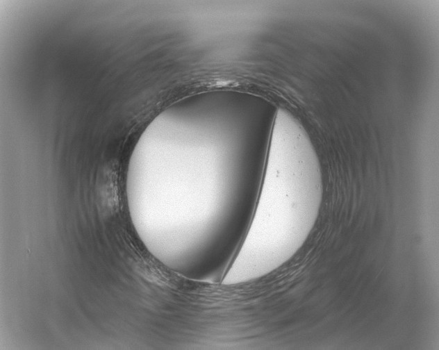 X0000061111442200511180922