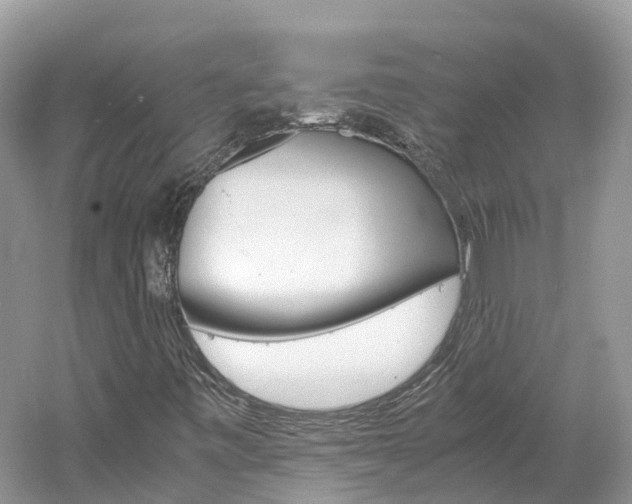 X0000061111443200511180922