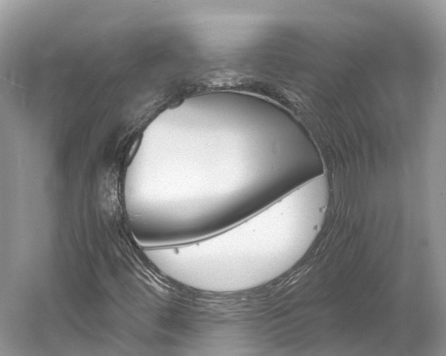 X0000061111444200511180922