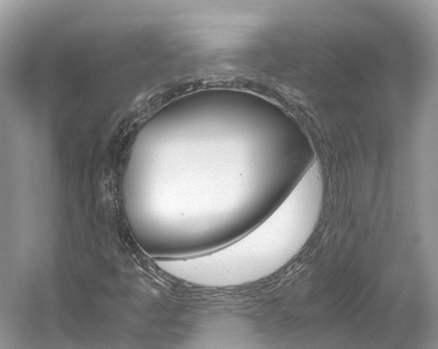 X0000061111445200511180922