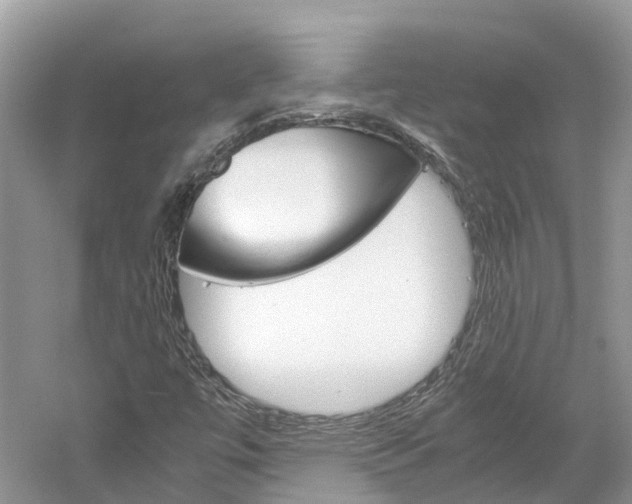 X0000061111447200511180922