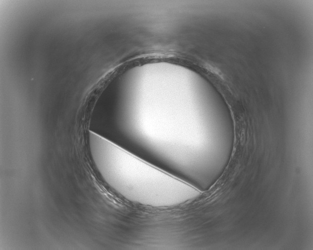 X0000061111448200511180922