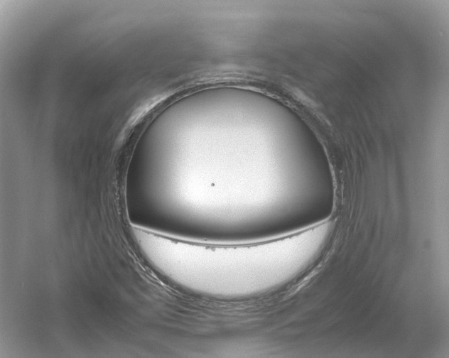 X0000061111453200511180922