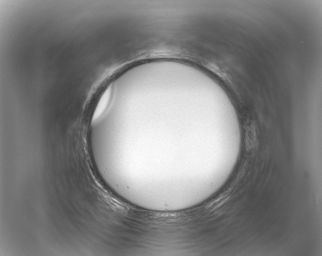 X0000061111454200511180922