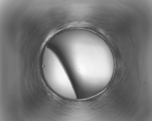 X0000061111459200511180921