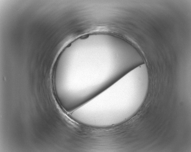 X0000061111475200511180921