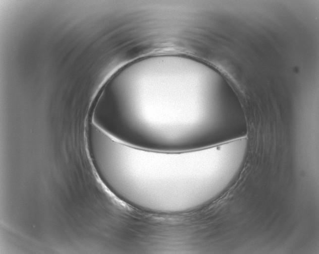 X0000061111476200511180921