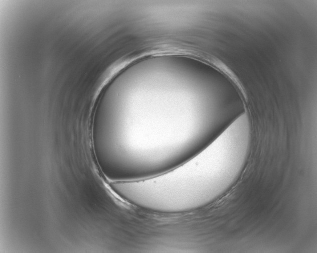X0000061111485200511180921