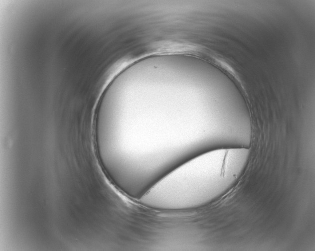 X0000061111487200511180921