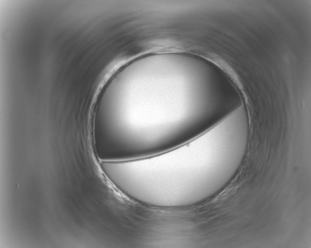 X0000061111488200511180921