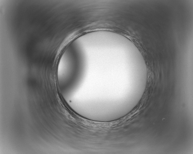 X0000061110004200511181142