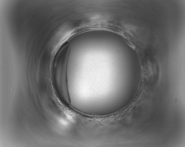 X0000061110005200511181142