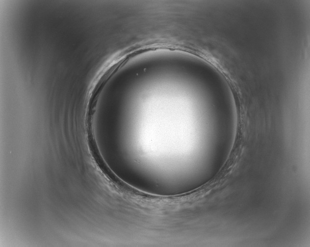 X0000061110007200511181142