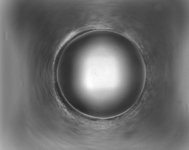 X0000061110008200511181141