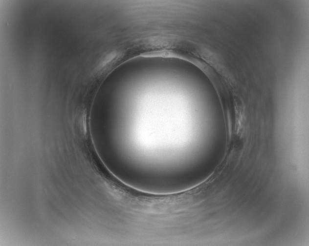 X0000061110021200511181141
