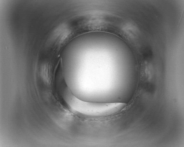 X0000061110025200511181141