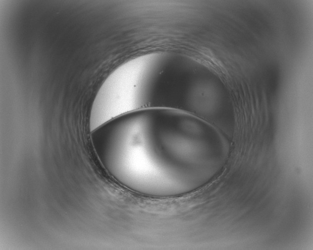 X0000061110029200511181141