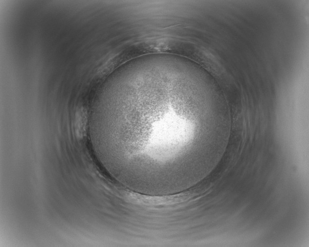 X0000061110030200511181141