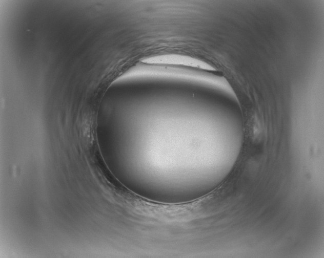 X0000061110031200511181141