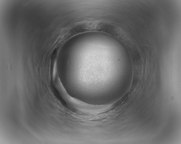 X0000061110035200511181141
