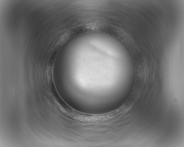 X0000061110036200511181141