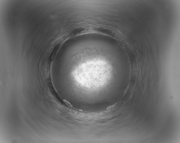 X0000061110043200511181141