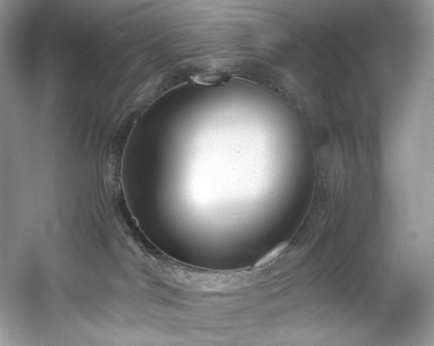 X0000061110044200511181141