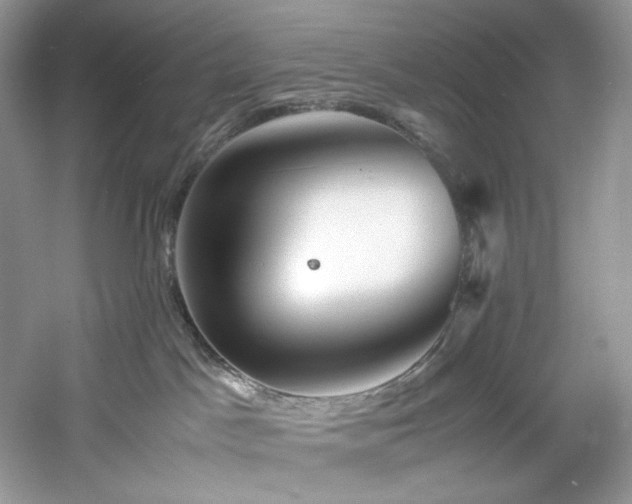 X0000061110045200511181141