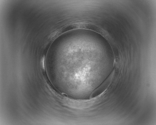 X0000061110047200511181141