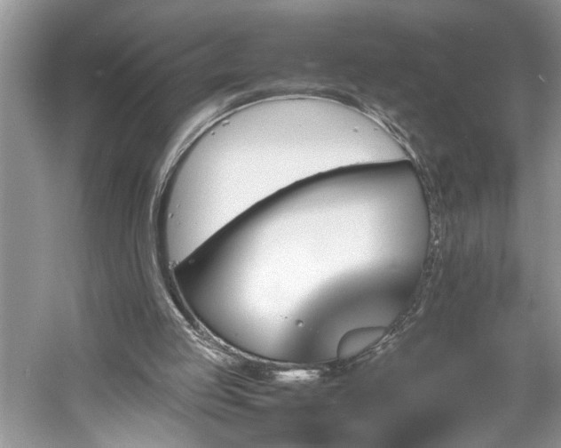 X0000061110053200511181140