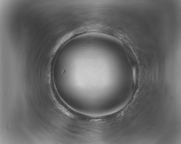 X0000061110054200511181140