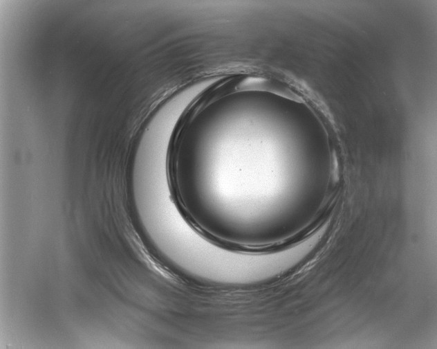 X0000061110057200511181140