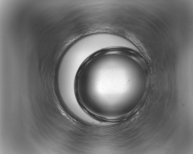X0000061110058200511181140