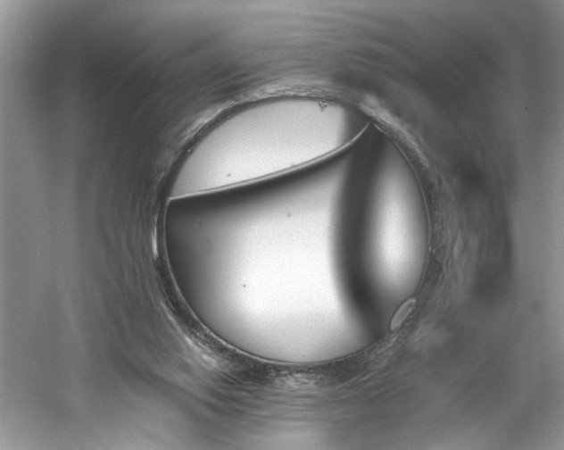 X0000061110062200511181140
