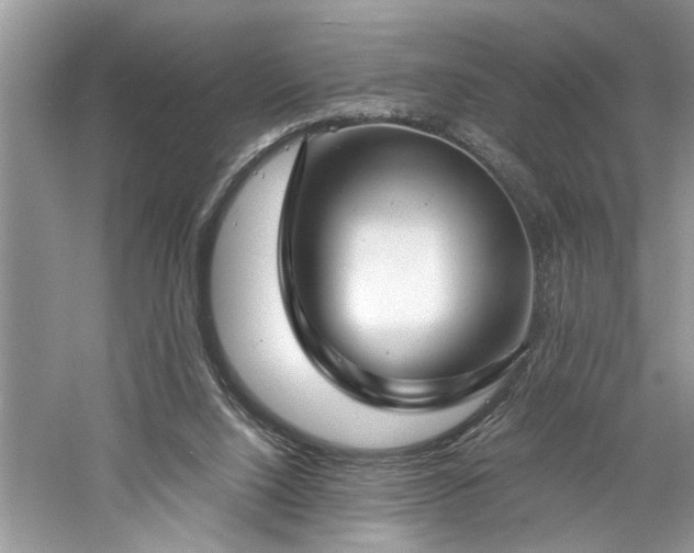 X0000061110064200511181140