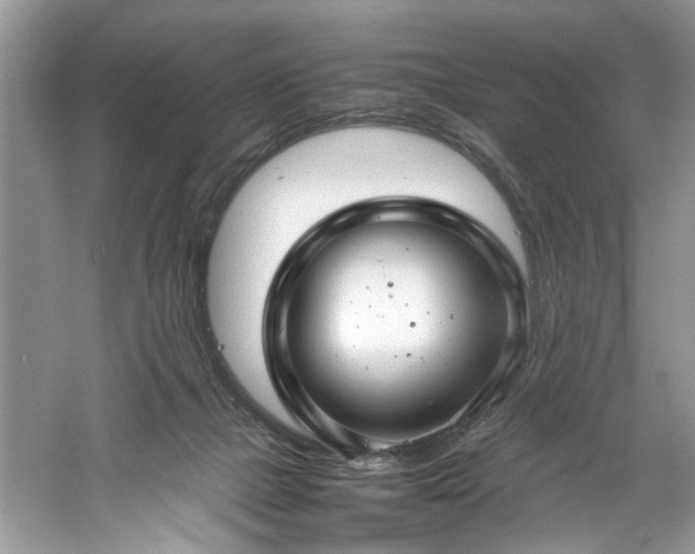 X0000061110073200511181140