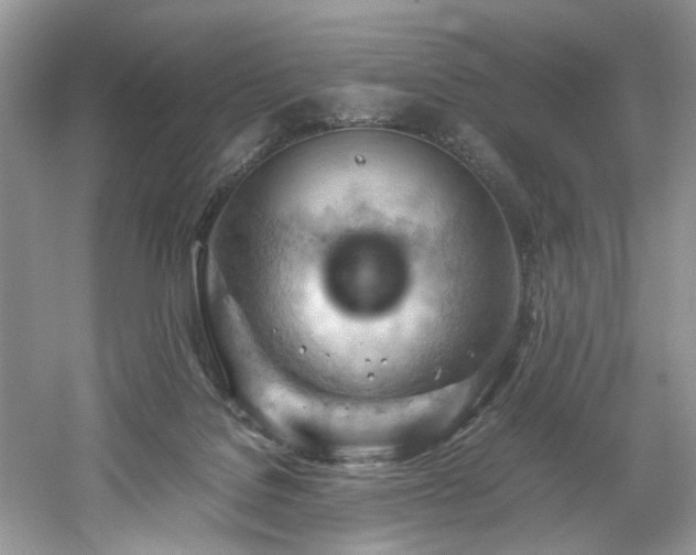 X0000061110076200511181140