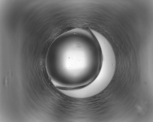X0000061110079200511181141
