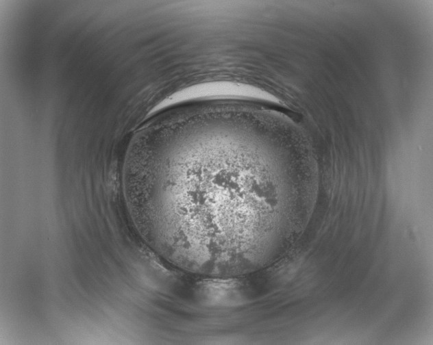 X0000061110085200511181141