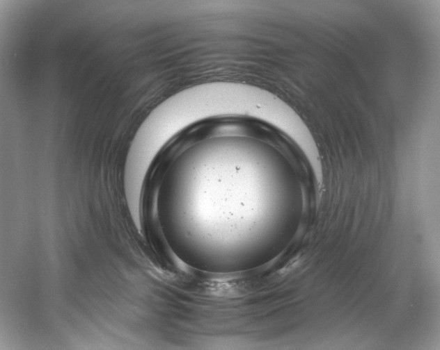 X0000061110091200511181141