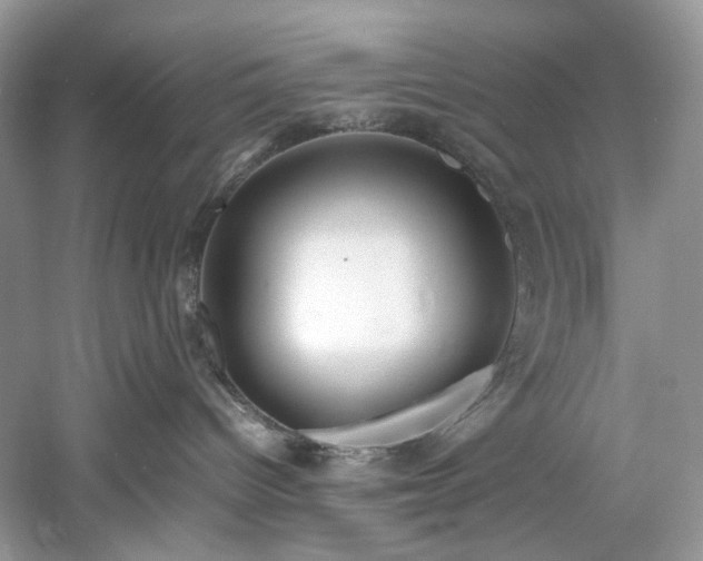 X0000061110096200511181141